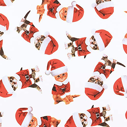 STAR Geschenkpapier 70cm x 2m Rolle Weihnachtspapier (Katze mit Weihnachtsmütze)