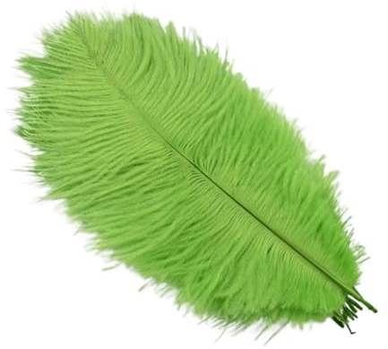 Plumes d'autruche 25-30cm, 10 pièces/lot, artisanat, décoration de fête, création de bijoux, plumes artisanales brodées(App green)