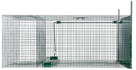 BOXTRAP - Boîte à Fauve 1 Porte - avec Compartiment pour Appât Vivant - Piège pour Renard et Fouine - Porte Coulissante à Glissière - 127 x 32 x 47 cm