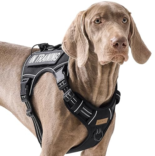 Hundegeschirr ohne Ziehen, für extra große Hunde, Freigabe am Hals, für Alaska Malamute, Bullmastiff, Rottweiler, Dogge usw., für Training, lässige Spaziergänge, Joggen, einfache Kontrolle Weste mit