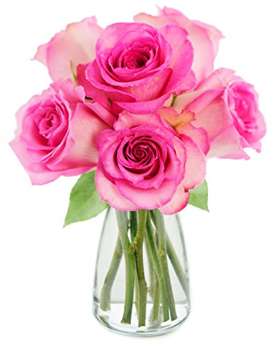 KaBloom - Sweet Pink Bouquet of 6 Fresh Cut Pink Roses (Farm-Fresh, Long-Stem) with Vase - Fresh Flowers for Birthday, Valentine's & Mother's Day