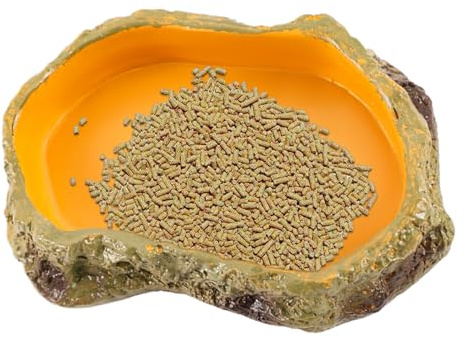 Bebedero para Reptiles Cuenco Alimentador Y Multifuncional Para Terrario