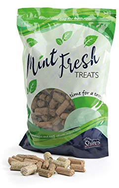 Shires Mint Fresh Treats 1kg