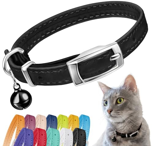 CollarDirect Collar de cuero para gato, collar de seguridad para gatos con correa elástica, collar de gatito para gato con campana, negro, azul, rojo, naranja, verde lima (cuello de 6 a 7 pulgadas
