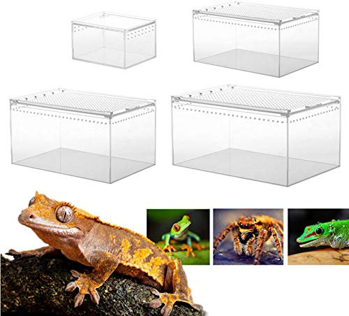 Transparente Reptilienbox Reptilienzuchtbecken Aus Acryl,Reptilien Zuchtbox Reptil Zuchtfall Für Spide, Skorpion, Tausendfüßler, Gehörnter, Käfer,Mehrfachgröße - 10.3x8.3x6CM