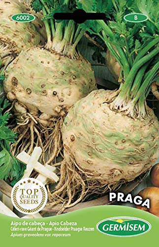 Germisem graines Céleri-rave Géant de Prague