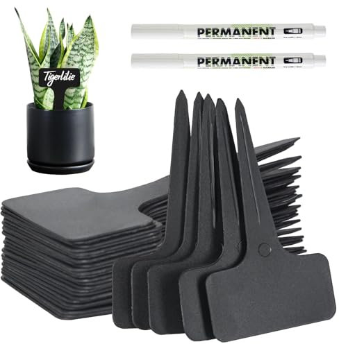 VEGCOO Lot de 120 étiquettes pour plantes d'extérieur - 6 x 10 cm - Type T - Résistantes aux intempéries - En plastique - Avec 2 marqueurs - Noir - Pour légumes, fruits, fleurs