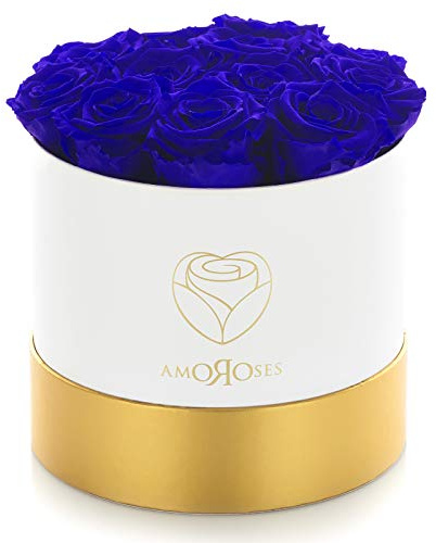 Amoroses LIMITED EDITION - Confezione regalo 12 Rose Stabilizzate Eterne - Elegante Bouquet di fiori veri (Scatola Bianca con Rose Blu)