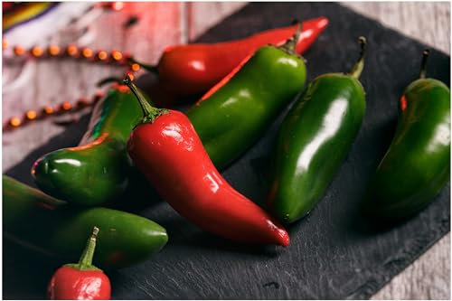 PREMIER SEEDS DIRECT - Pepper Hot Chilli - Jalapeno Gourmet Seeds (12 Seeds)