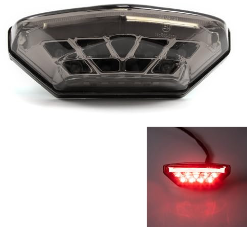 evomosa Moto fanale posteriore LED rosso luce freno luce targa posteriore luce di marcia diurna universale per moto scooter 12V ATV quad bike triciclo (Grigio)