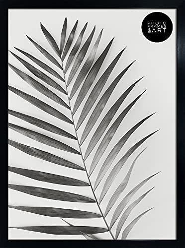 pf+a Perspex Window Black A2 Frame - A2 Poster Frame / A2 (59.4x42cm) Frame Portrait and Landscape Display