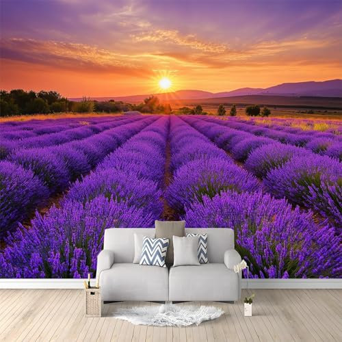 Papel pintado mural Campo de lavanda al atardecer papel pintado no tejido Púrpura Adecuado para habitación infantil, salón y dormitorio 250 x 175 cm papel pintado mural