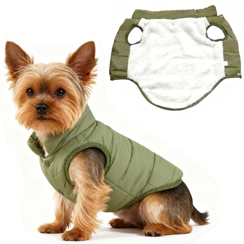Asmea Manteau Chien Hiver Imperméable Manteaux d'hiver pour Chiens Polaire Veste Chiens Manteau Petit Chien Manteaus Chihuahua Teckel Pull Noël Vert XS