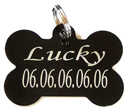 médaille chien et chat gravée personnalisée protection vernis +anneau différents coloris