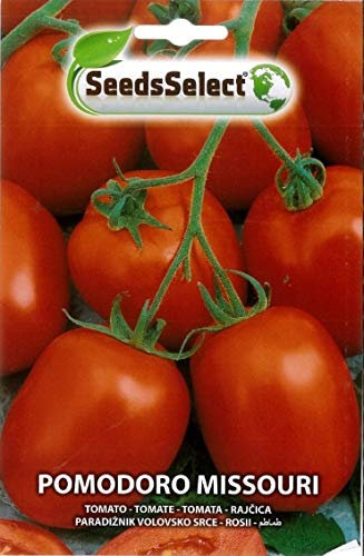 SEMI SEMENTI DI POMODORO MISSOURI BUSTINA MAXI