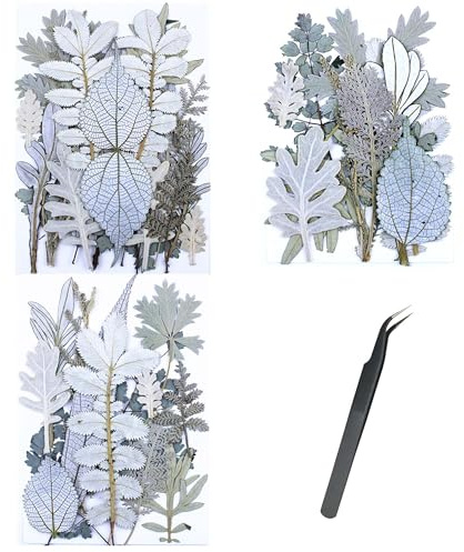 Cayway 46 Piezas Blanco Naturales Flor Prensada Mezclada, Naturales Flores Prensadas Secas Bricolaje Conjunto de Flores Secas para Resina Scrapbooking, Joyería de Resina Epoxi