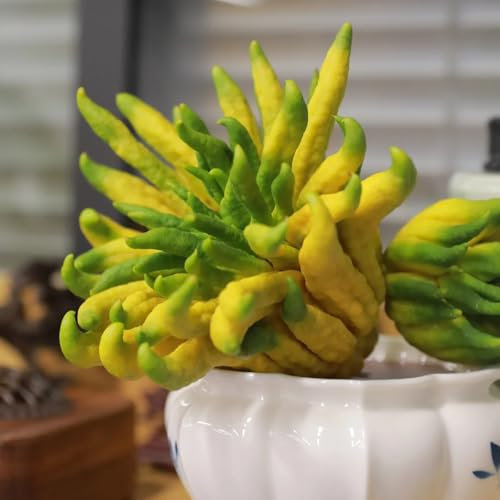 150 pcs Wilde Bergamotte Samen, Bergamotte Baum, bonsai bäumchen kaufen obst samen balkonpflanzen winterhart obstbaum dekopflanzen bonsai bäumchen kaufen winterfeste pflanzen für