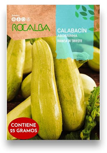 Semillas Calabacín Blanco Variedad Bianca di trieste | Sobre 25 GR (Sobre Grande) | Cultiva tus calabacines blancos en tu huerta para tener todo el año calabacines en tu plato | Rocalba