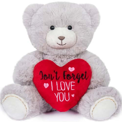 My OLi Teddy Plüschbär mit Herz Rot-Don't Forget I Love YOU-18 cm Teddybär Plüschteddy Kuscheltier Schmusetier für Babys Kinder Jungen Mädchen Liebhaber Hellgrau