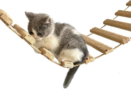 Kattstege för vägg – kattbro och klättringsram, 40- kattunge, klättringsstege, massivt trä och hopprep stegar med brokombo för | inomhus kattungar tillbehör för hoppplattformar, sängar