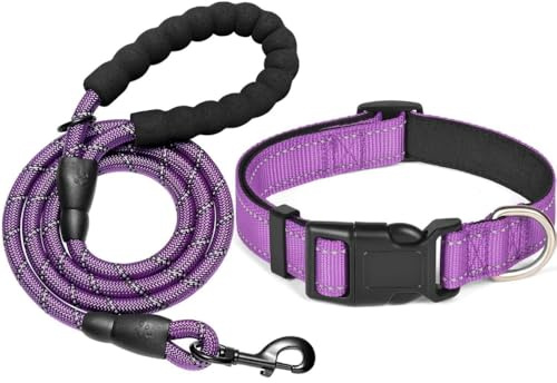 KOMUNJ Set collare e guinzaglio riflettente per cani, collare regolabile, guinzaglio in nylon resistente per cani di taglia media e grande (Viola, M)
