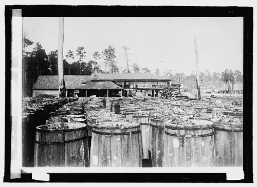 HistoricalFindings Photo: Turpentine Works,1909-1920,National Photo Company