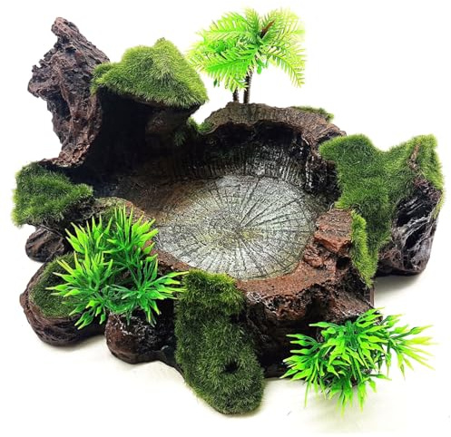 Grtheenumb Bol d'eau de Dragon Barbu, Plat d'eau de Reptile, Bol Simulation Reptile 7, 28 x 5, 91 x 3, 54, Nourriture décorative en Plastique et en résine pour Dragon Barbu, pour Tortue lézard Gecko