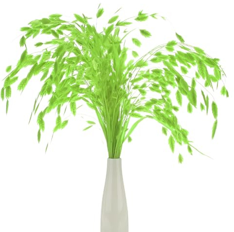 M METERXITY 20-Pz Mazzo Erba Essiccata 17 Chasmanthium Bouquet Fiori Secchi Erba Avena per Riempitivo Vaso/Decorazione Casa Arrangiamento Fiori Secchi Pianta Reale Steli Verdi [Verde Chiaro]