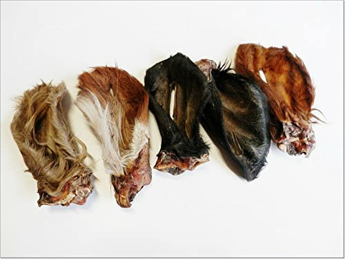 <10pcs> Large Dried Thick Furry Hairy Cow Beef Ears Grade A - FULL,along with the auricle!…
