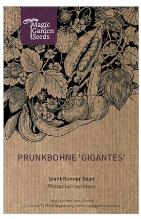 Haricot géant grec 'Gigantes' (Phaseolus coccineus) env. 20 graines