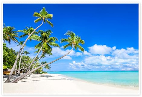 Vit strand och palmträd i tropikerna Poster av Jan Christopher Becke 60 x 40 cm Blå Tavlor Väggdekoration
