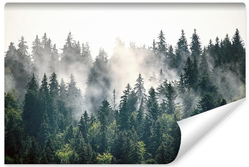 Muralo - Fototapete 3D Effekt - Selbstklebende Tapete 3D - Tapeten für Wohnzimmer Schlafzimmer - Fototapete selbstklebend - Wald im Nebel Motiv - Br. 104cm x Hö. 70.5cm