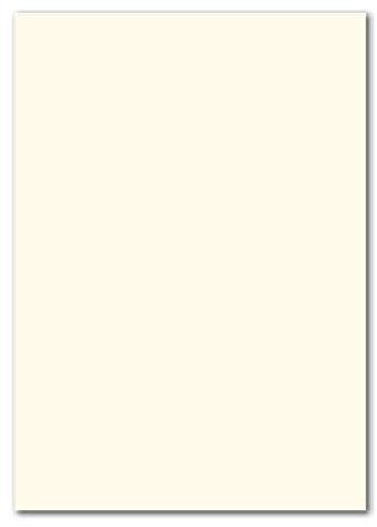 100 DIN A4 Papierbogen Planobogen - Naturweiß (Weiß) - 160 g/m² - 21 x 29,7 cm - Bastelbogen Ton-Papier Fotokarton Bastel-Papier Ton-Karton - FarbenFroh