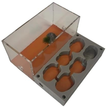 AZHKJKZH Formica Nido Castello di Formiche Trasparente Fattoria Nido Habitat E Regine Kit Apprendimento per Casette per Formiche