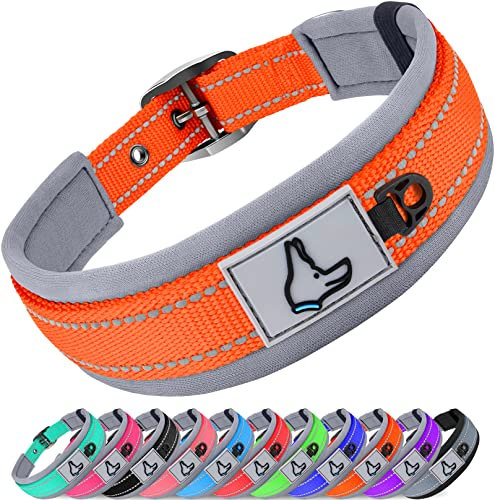 Joytale Halsband Hund, Weich Hundehalsband Gepolstert Neopren Hunde Halsband für Große Hunde, Nylon Reflektierend Breit Halsbänder, Orange
