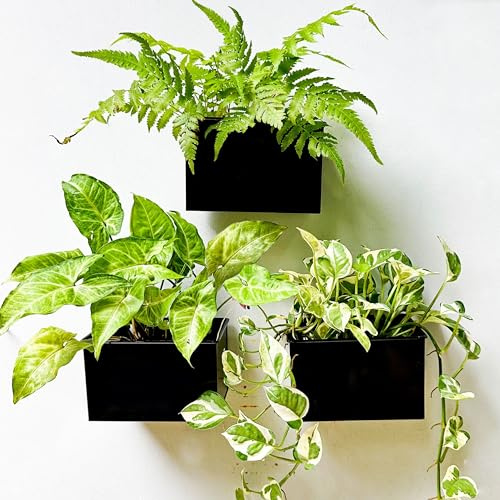 LaLaGreen Väggplanterare – 3-pack, 15 cm väggmonterade planterare för suckulenter svart, rektangulär hängande blomkruka i metall, långa fönsterlådor staket luftväxter hållare flytande trädgårdshylla