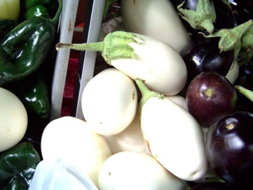 20 Graine Graines - Aubergine EGG PLANT - Blanche et Ronde - Rare - Fruit Légume Jardin - 237