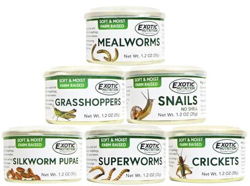 Canned Insect Assortment 6 Pack - Healthy High Protein Treat - For Hedgehogs, Sugar Gliders, Reptiles, Chickens, Lizards, Bearded Dragons, Turtles, Fish, Birds, Opossums, Skunks and other Insectivores