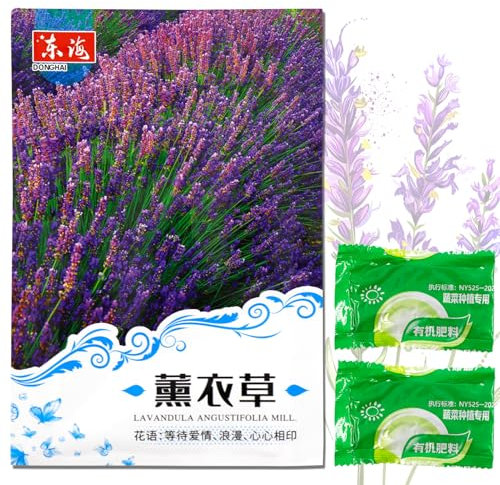 Lavendel Samen,500 Lavendelsamen,Lavandula angustifolia,Samen Echter Lavendel,Kräutersamen Winterhart mehrjährig,Blumen Samen,Blumensamen für Balkon Garten