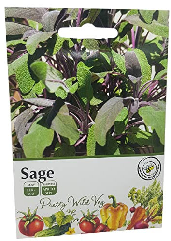 Sage Seeds Vegetable Fruit Herb Seeds