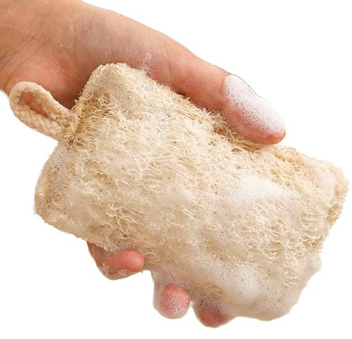 DMAIS Spugna da Cucina, spugnette per Lavare i Piatti in luffa da Cucina, spugne per Pulizia riutilizzabili AntiGraffio, Spugna per Piatti Spugna per detersivo per la casa, per Piatti, padelle