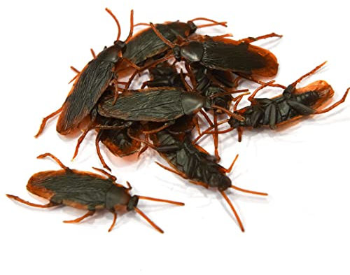 Faux cafards, faux cafards en plastique réalistes, insectes, jouets de blague, blague effrayante, insectes pour le jour des imbéciles, 10 pièces, faux cafards, farces réalistes, insectes, blagues