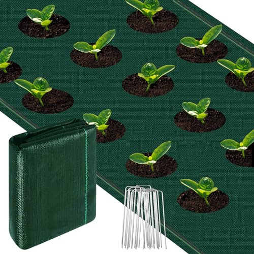 Trendecor Toiles de Paillage 1 m x 5m avec 10 pcs de Piquets Contre Les Mauvais Herbes,Tissu Anti-Mauvaises Herbes Respirant Bâche de Sol pour terrasse, Jardin, Paysage