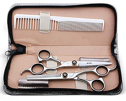 6 Zoll Profi Haarschere | Extra scharfe Friseurschere inkl. Etui - scharfer und präziser Schnitt | Perfekter Haarschnitt für Damen und Herren,Silver