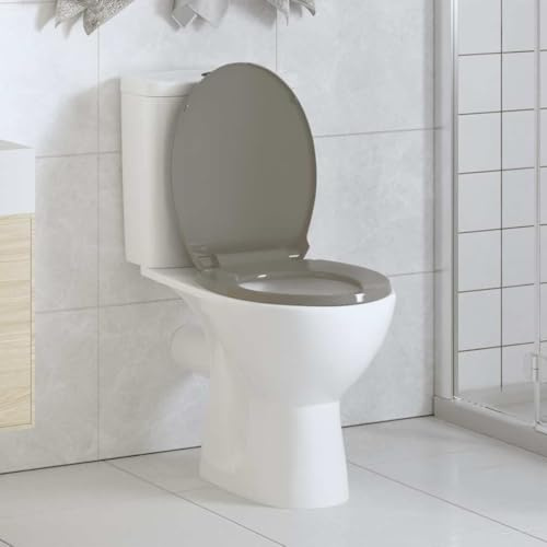 Genérico Tapa y Asiento de váter con Cierre Suave Ovalada Gris,Bricolaje,Fontanería,Piezas y Herramientas para componentes de fontanería,Accesorios de baño y bidé,Asientos de inodoros y bidés-145816