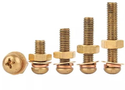 Foyoram Viti combinate M2,5 x 4 mm, set di 20 viti a testa semicircolare con chiusura a croce e disco piatto e anelli a molla e dadi, in ottone