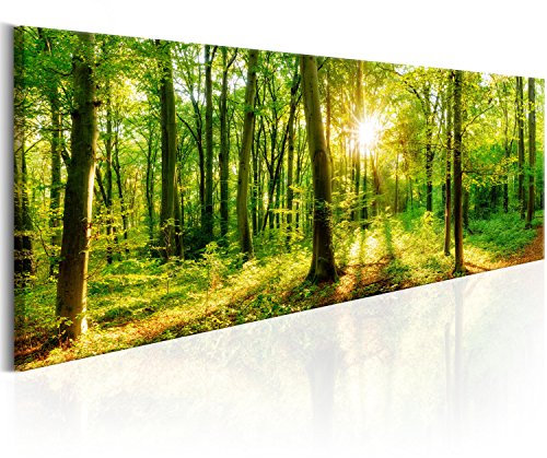 B&D XXL Acrylglasbild Wald 135x45 cm 1 Teilig Wandbild auf Acryl Glasbilder Kunstdruck Moderne Acrylglas Platte Wanddekoration Geschenke Heimdekoration Glasbild Landschaft Natur Panorama Baum