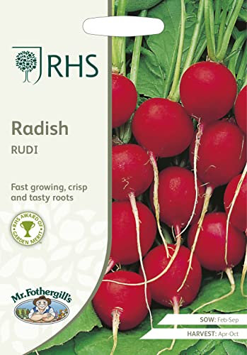 Mr Fothergill's - RHS Radish Rudi, red