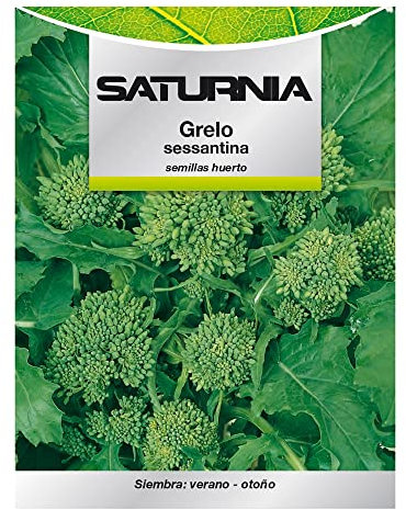 SATURNIA Semillas Grelo Brocoli (10 Gramos) Semillas Verduras, Horticultura, Horticola, Semillas Huerto.