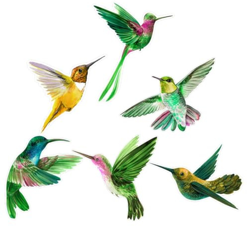 BIUDECO 6 piezas Pegatinas Adhesivas para Ventanas con Diseño de Pájaros Verdes Anti-colisión Unidades Reutilizables para Decoración y Protección de Aves Cristales de Casa y Dormitorio